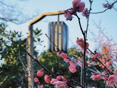 -三垟湿地