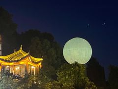 -巴倒烫陆派火锅山庄(南山总店)