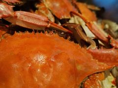 大飞蟹-凯悦·东方公主号 全球海鲜自助餐厅(凯丹广场店)