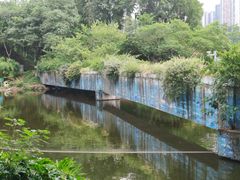 -重庆彩云湖湿地公园
