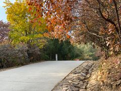 -北京西山国家森林公园