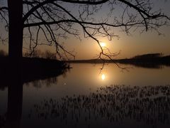 -丁香湖公园