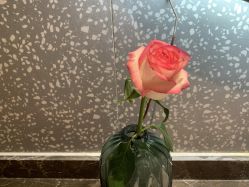 -FineYoga梵音瑜伽·普拉提