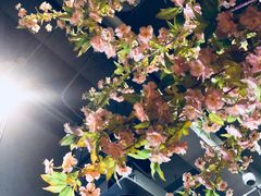 -吉川居酒屋(建国北路店)