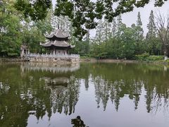 -习家池