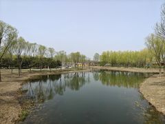 -东郊湿地公园