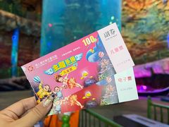 -青岛嘉年华主题乐园