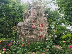 -鹅湖玫瑰文化园