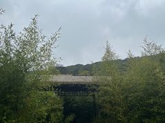 -苏州上方山国家森林公园