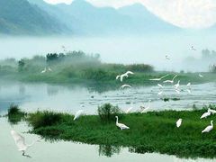 -大亚湾红树林城市湿地公园