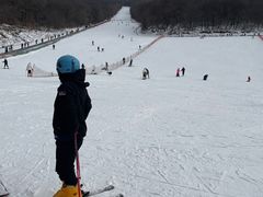 -五家山森林公园滑雪场