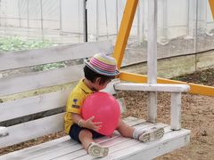 -前小桔亲子创意农场·草莓采摘·露营烧烤