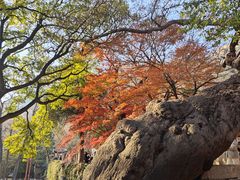 -青岛崂山太清宫