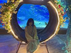 -沈阳海洋探索中心