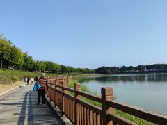 -风云岭森林公园