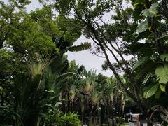 -深圳国际园林花卉博览园