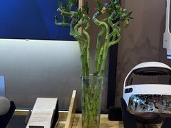 -郑州新郑国际机场-T2航站楼