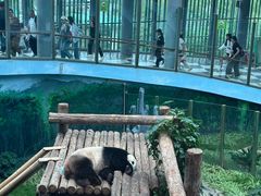 -大连森林动物园