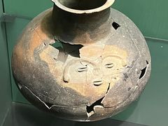 -美国自然历史博物馆