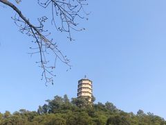 -深圳国际园林花卉博览园