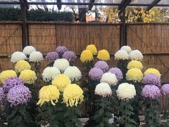 -名古屋城