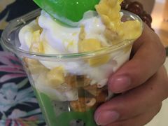 -Salud撒露欧洲冻酸奶(蓝色港湾店)