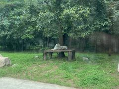 -西安秦岭野生动物园