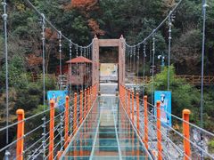 -燕子河大峡谷天坑仙境