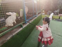 -可可天空农场(中大店)