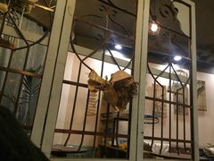 门面-共舞时光猫咖·狗咖(新街口店)