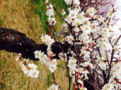 iphone_upload_pic-林屋洞景区