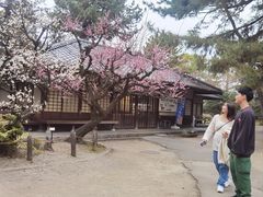 -名古屋城
