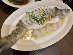 -HOHO餐厅(古子城店)