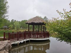 -东平国家森林公园
