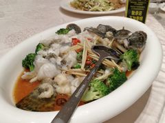 -富黎华海鲜大酒楼(正大广场店)