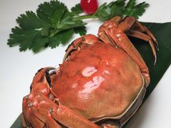 -花城苑广府菜(侨鑫店)