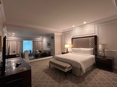 -澳门威尼斯人综合度假区