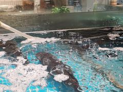 -香山湖家家宴(中山陵店)