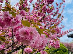 -宜兴龙背山森林公园