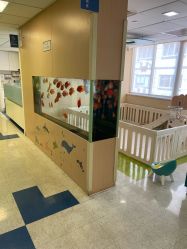 -杭州贝瑞斯美华妇儿医院·早孕·产检·儿科