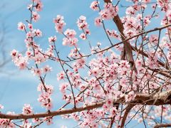 -安定门(地铁站)