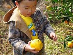 -前小桔亲子创意农场·草莓采摘·露营烧烤