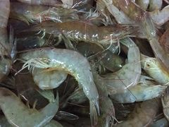 -金捞自助火锅烤肉店(阳华路店)