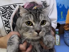 -芭比堂动物医院·犬猫全科·异宠专科(雁塔分院)