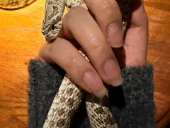 -抱暴龙爬宠·异宠·撸宠撸爬主题馆(大学路店)