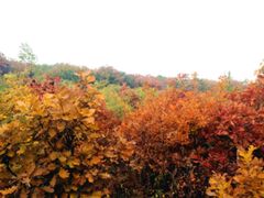 -沈阳辉山风景区