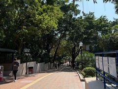 -九龙公园