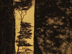 -八哥美术·成人美术画室(总校区)