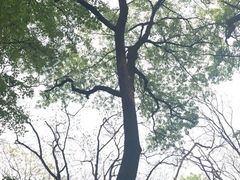 -皇藏峪国家森林公园