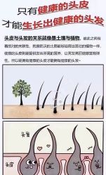 点击看大图 -木北造型
